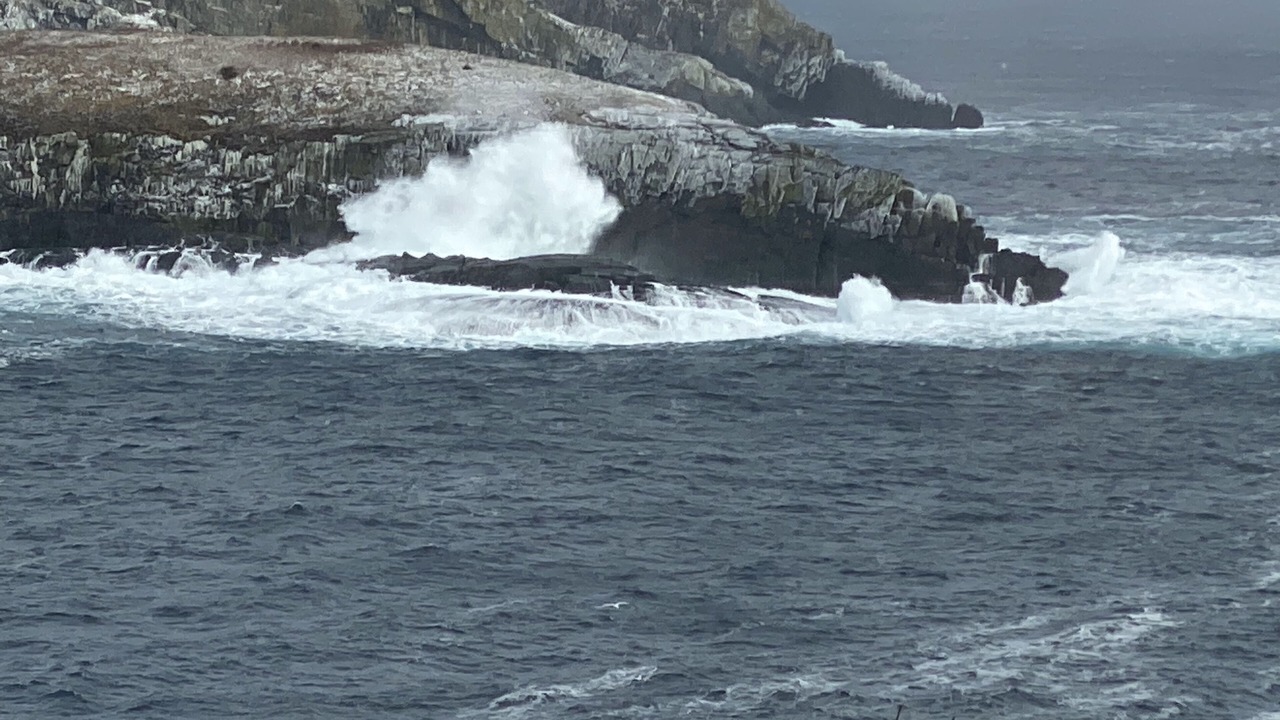 Photo of Others in Bauline East