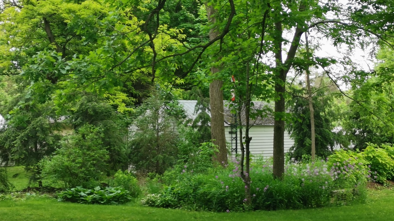 Photo of Others in Fort Erie