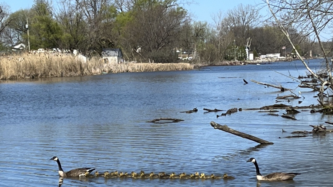 Photo of Others in Amherstburg