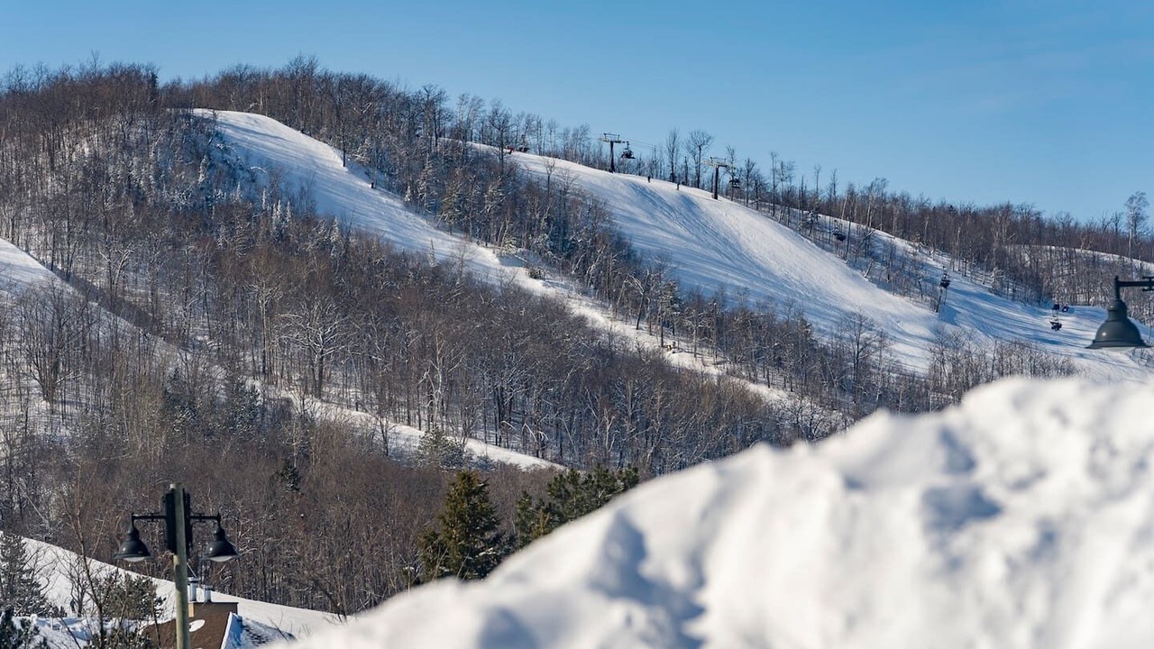 Photo of Others in Craigleith