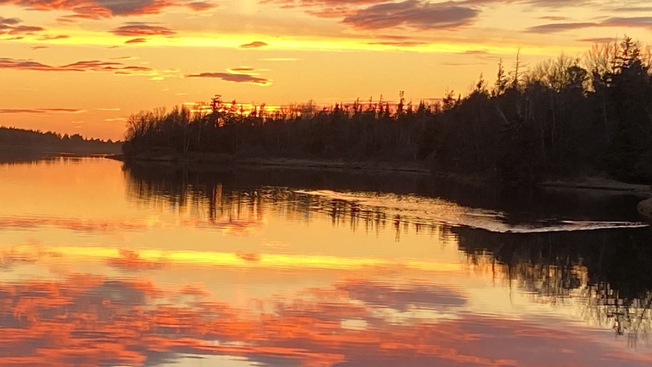 Photo of Outdoor in Lakeside