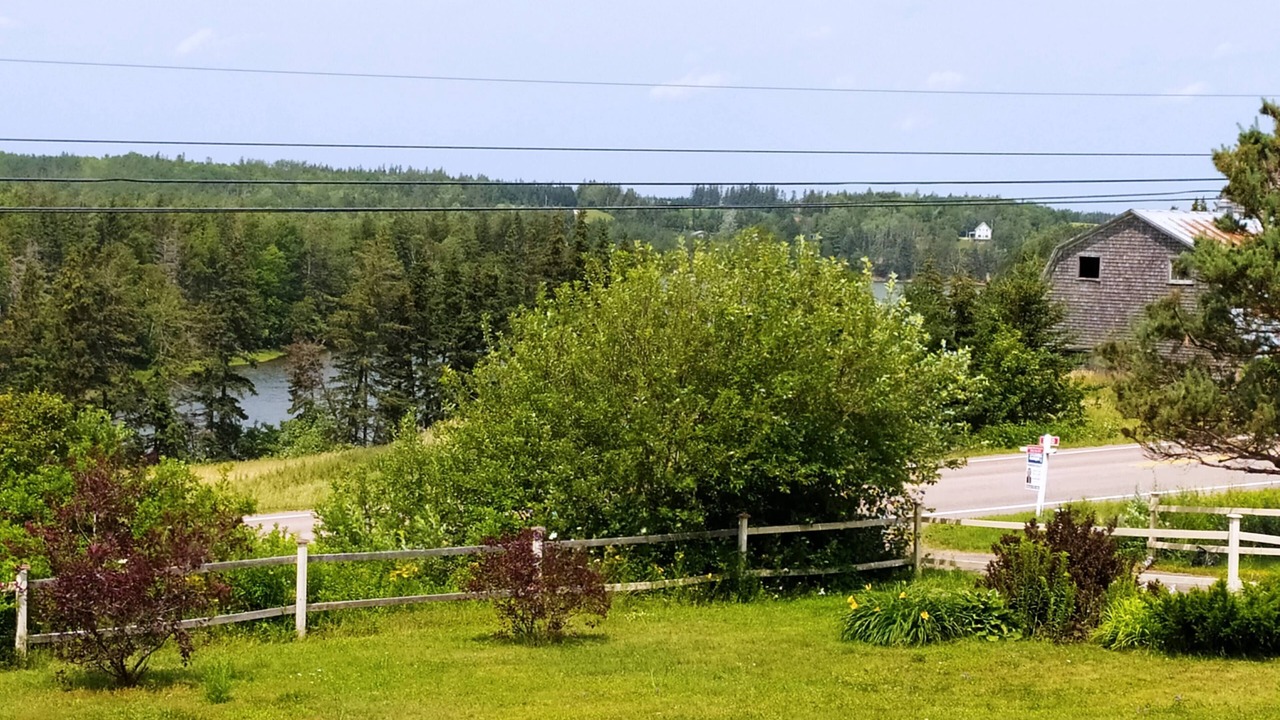 Photo of Outdoor in New London