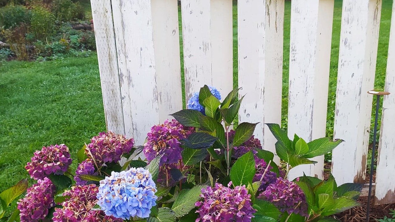 Photo of Outdoor in New London