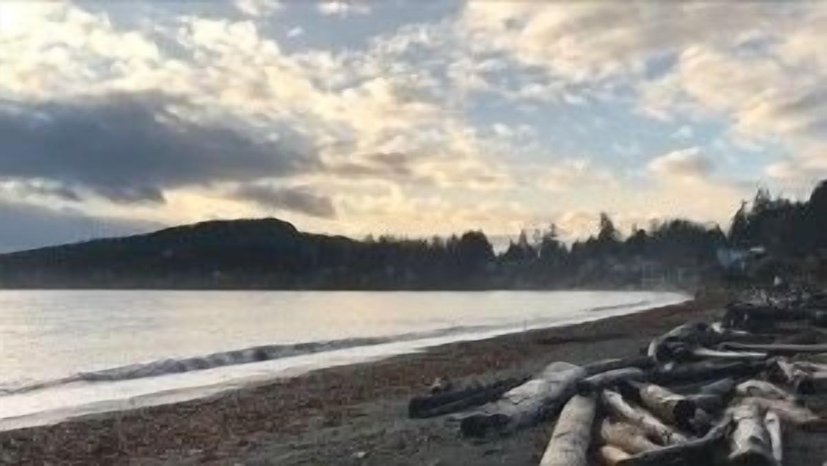 Photo of Others in Cordova Bay