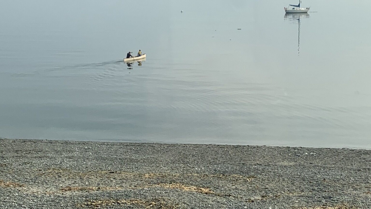 Photo of Others in Cordova Bay