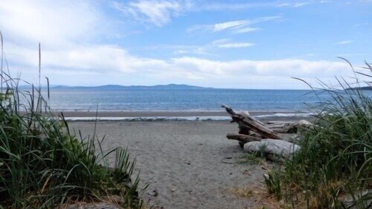 Photo of Others in Cordova Bay
