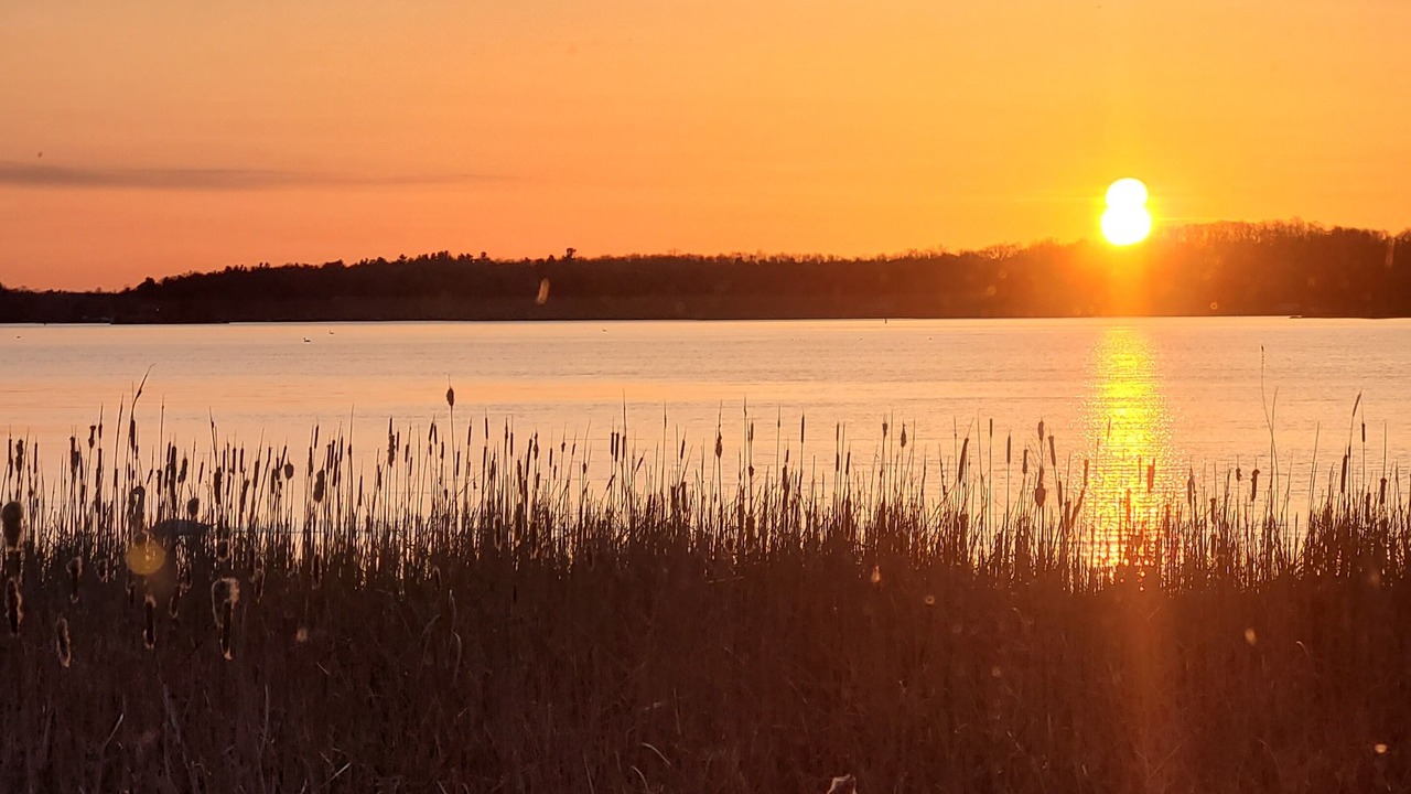 Photo of Others in Howe Island