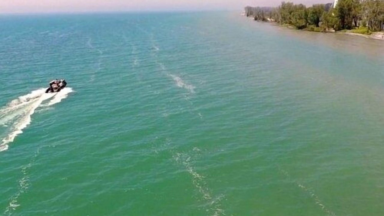 Photo of Others in Port Dover