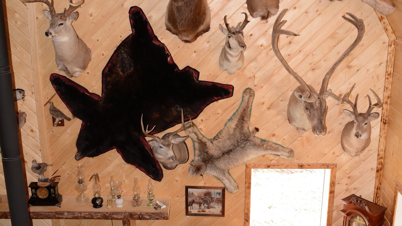 Photo of Others in Central Alberta