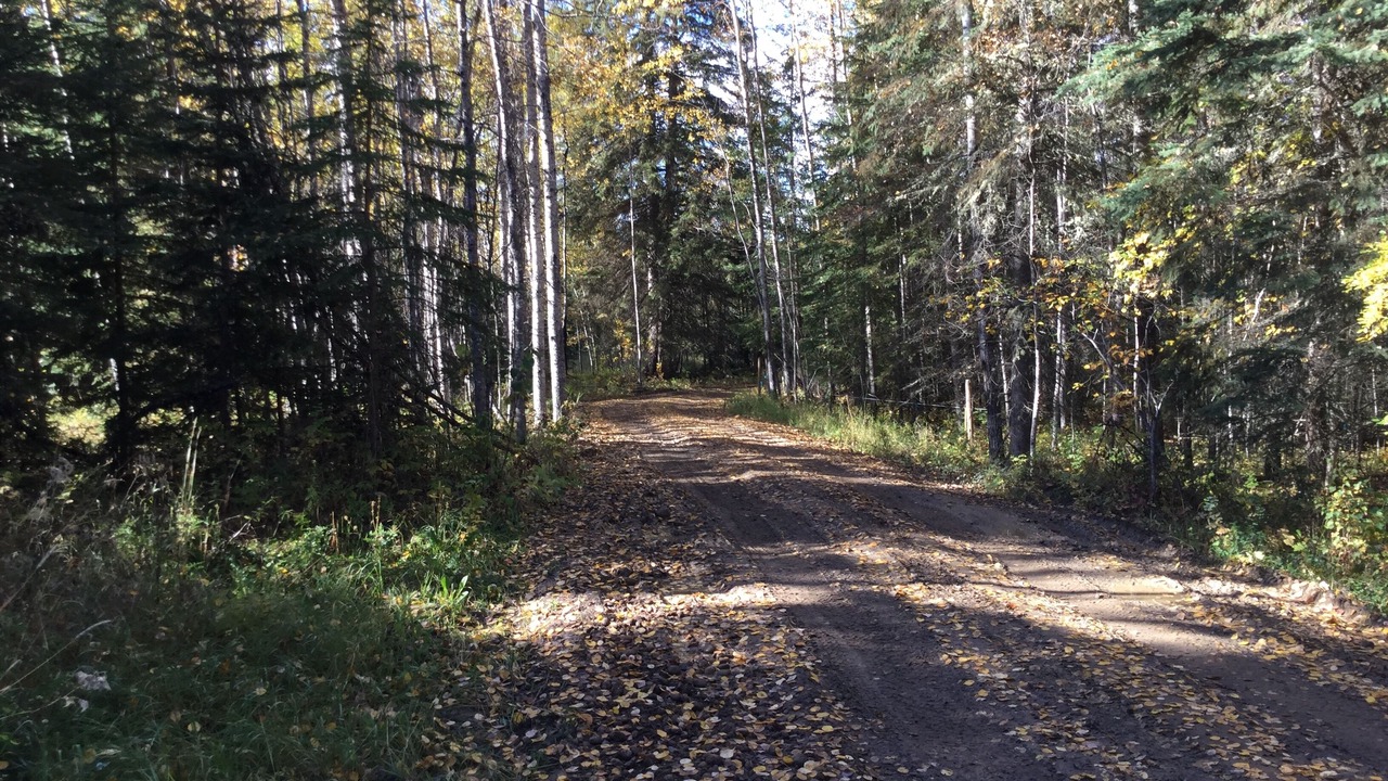 Photo of Outdoor in Central Alberta