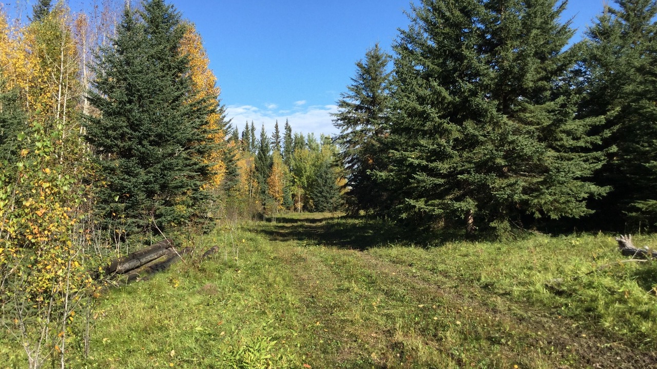 Photo of Outdoor in Central Alberta