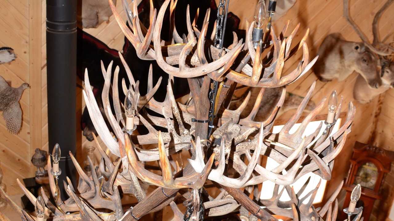 Photo of Others in Central Alberta