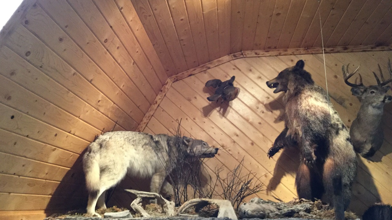Photo of Others in Central Alberta