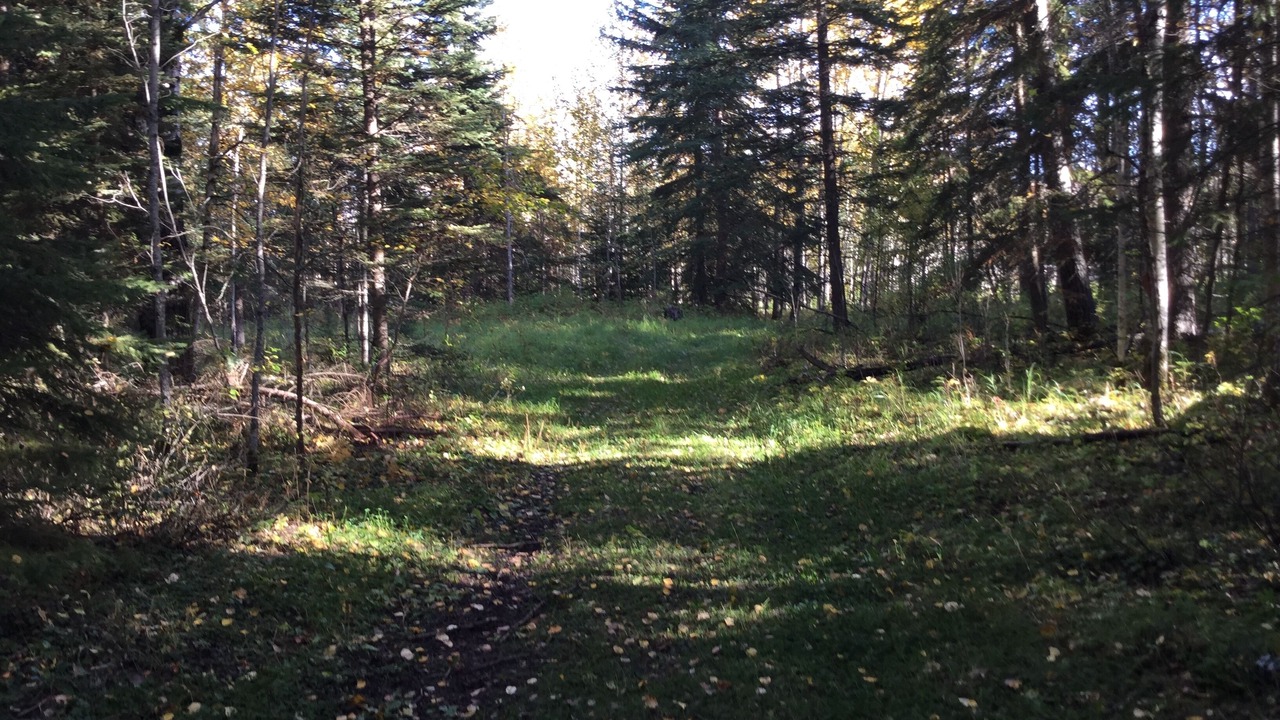 Photo of Outdoor in Central Alberta