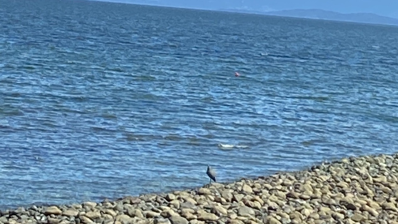 Photo of Others in Regional District of Nanaimo