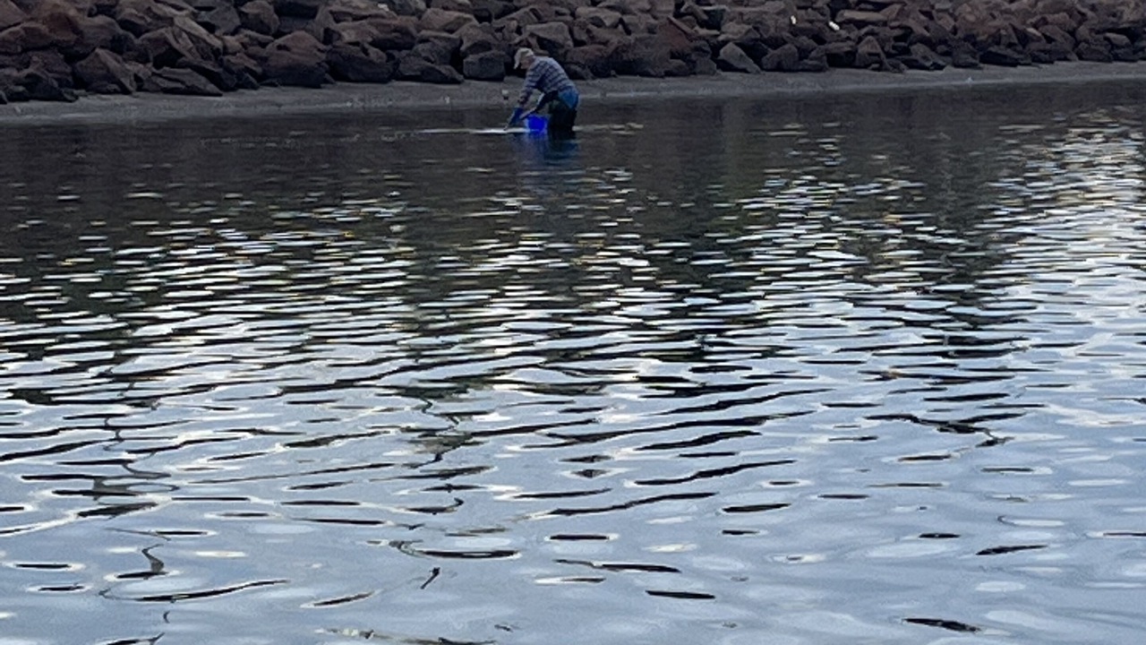 Photo of Outdoor in Baie de Bouctouche