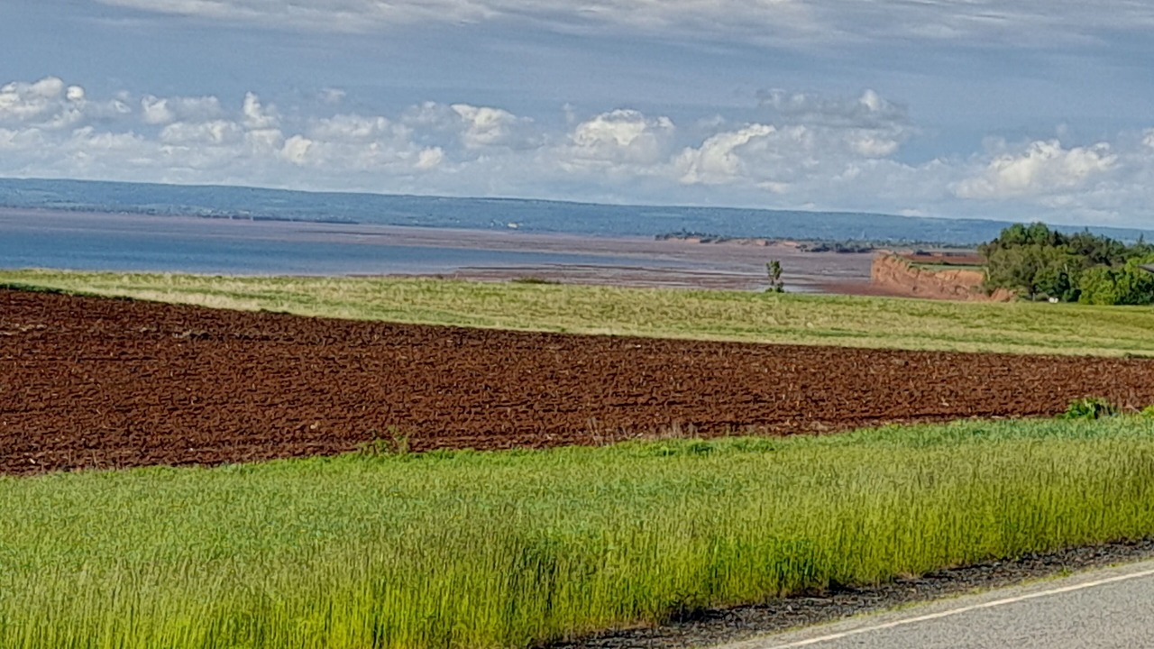 Photo of Others in Lower Blomidon