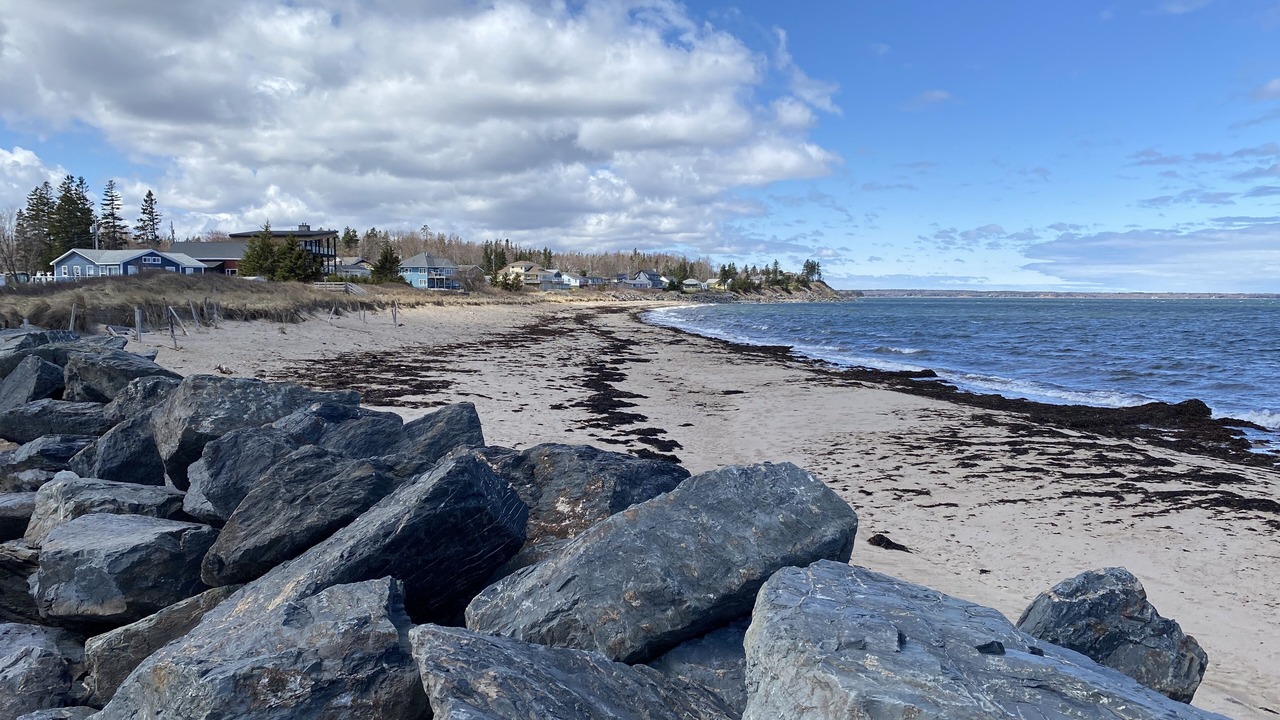 Photo of Others in Chance Harbour