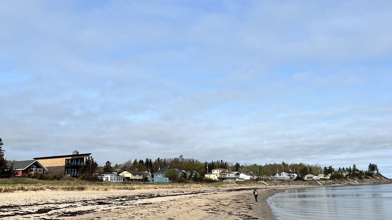 Photo of Others in Chance Harbour