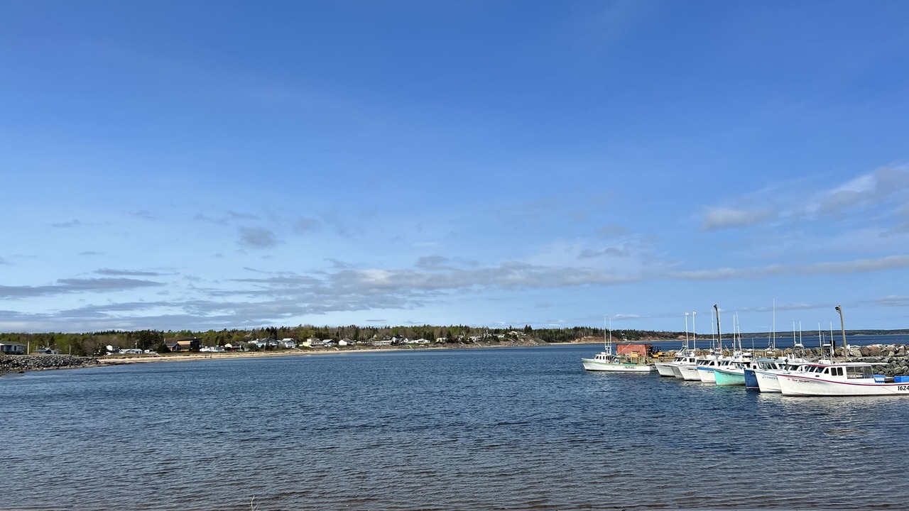 Photo of Others in Chance Harbour