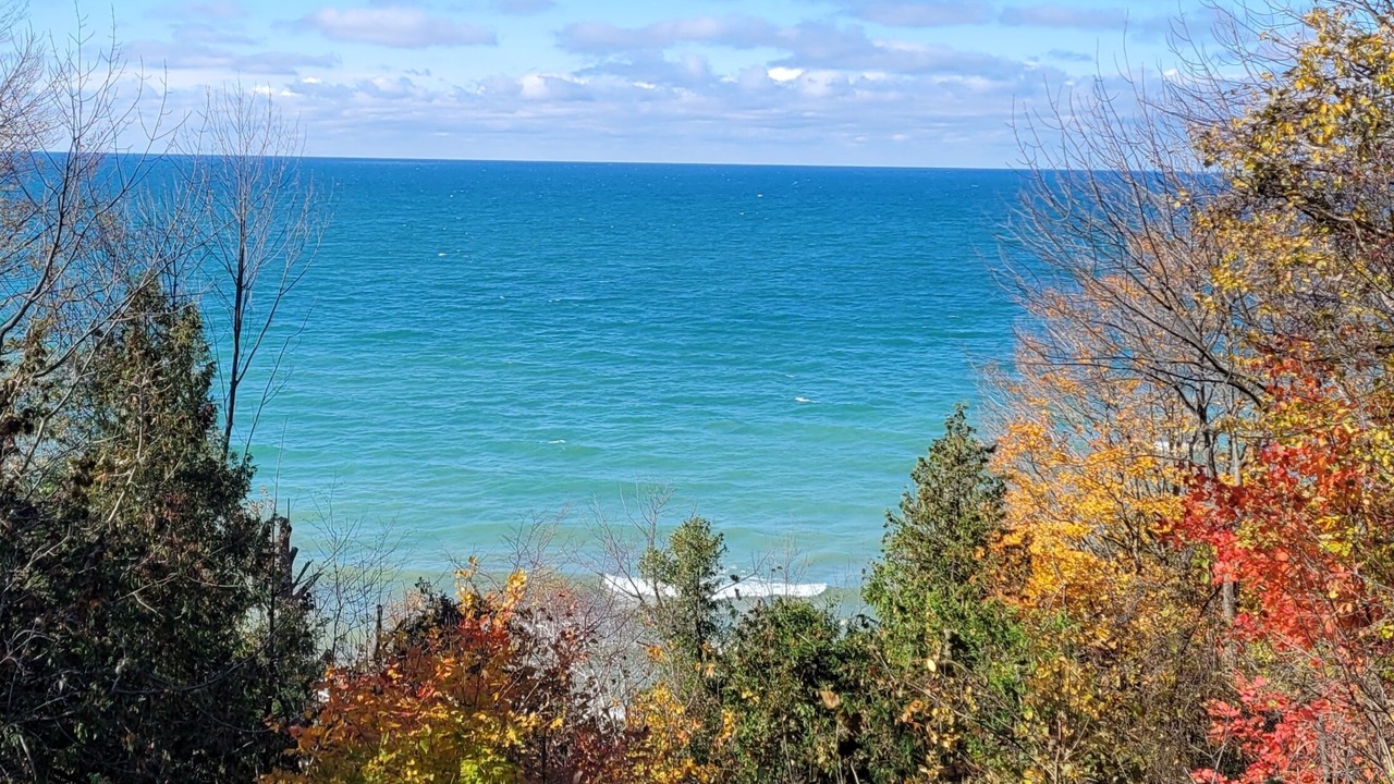 Photo of Others in Ashfield-Colborne-Wawanosh