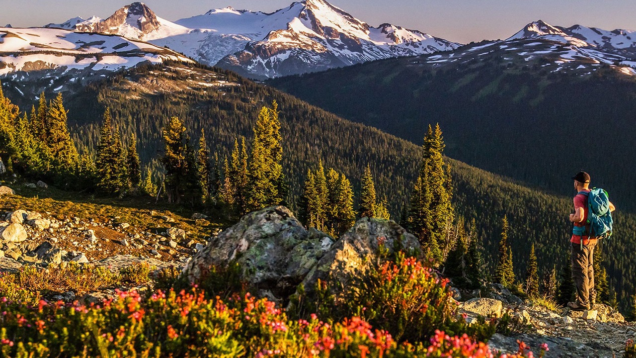 Photo of Outdoor in Whistler Creekside