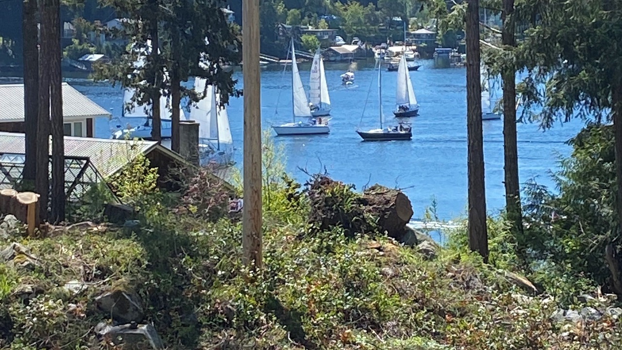 Photo of Others in Madeira Park