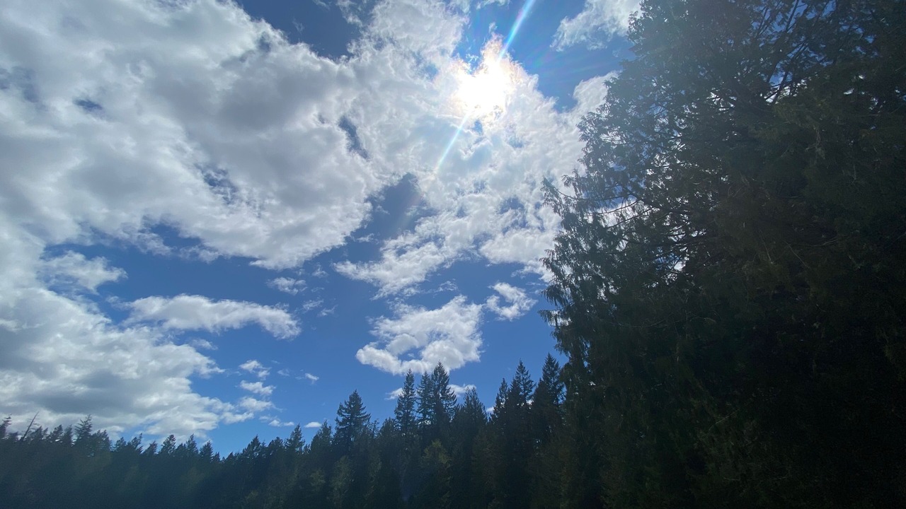 Photo of Others in Alberni-Clayoquot