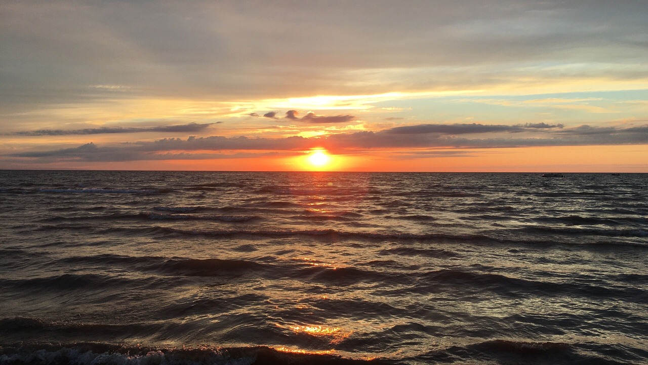 Photo of Others in Wasaga Beach
