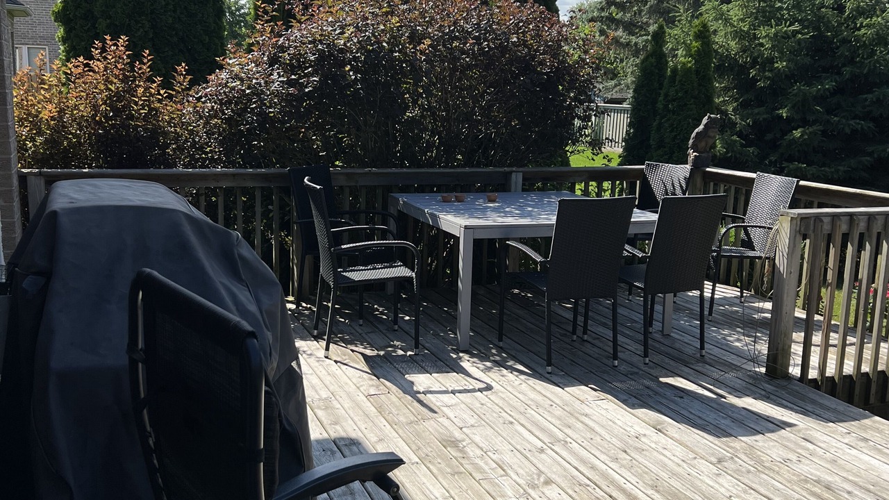 Photo of Others in Port Elgin