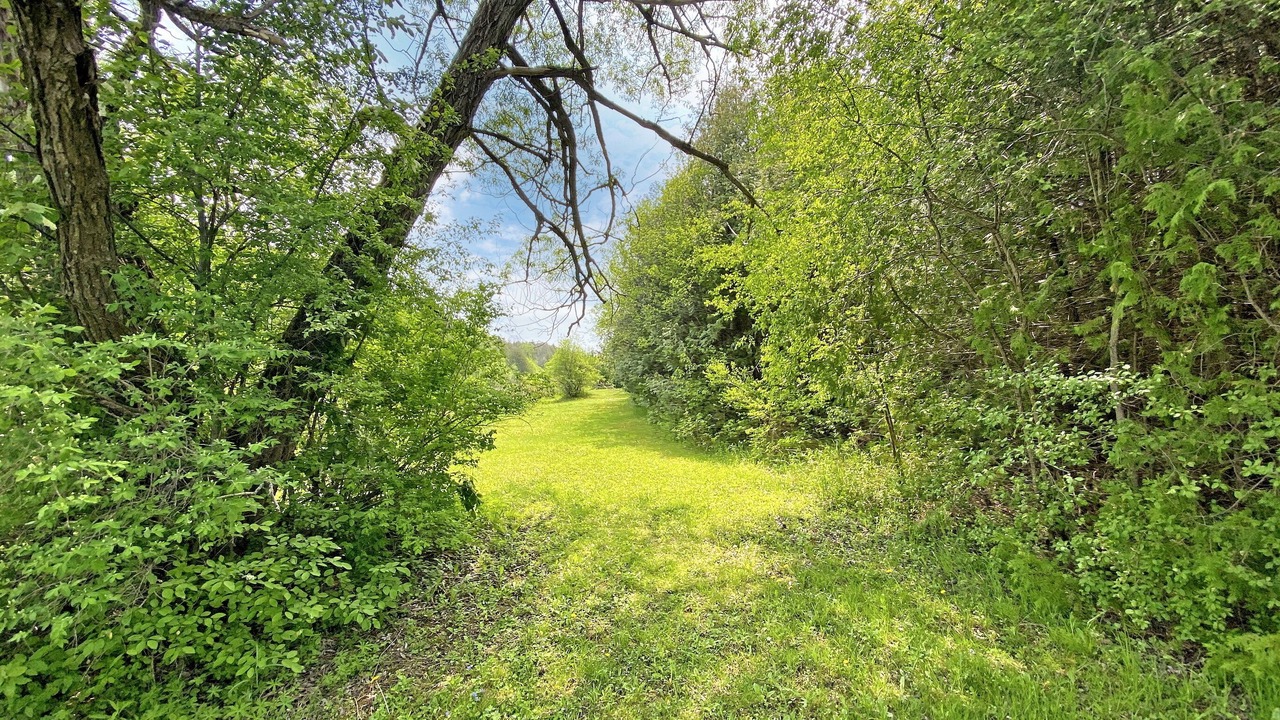 Photo of Outdoor in Brock
