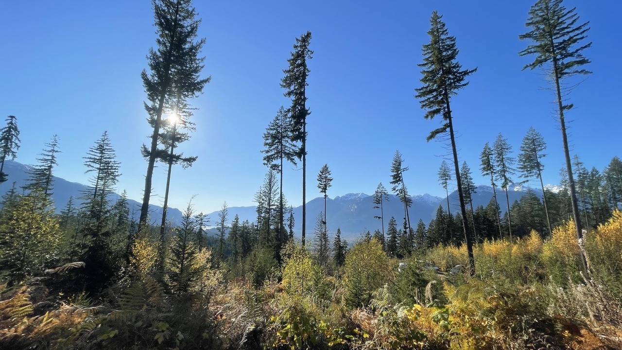Photo of Outdoor in Squamish