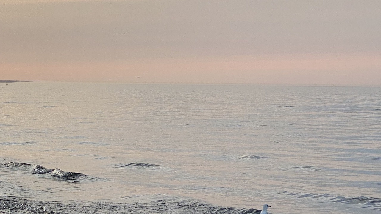Photo of Others in Long Point
