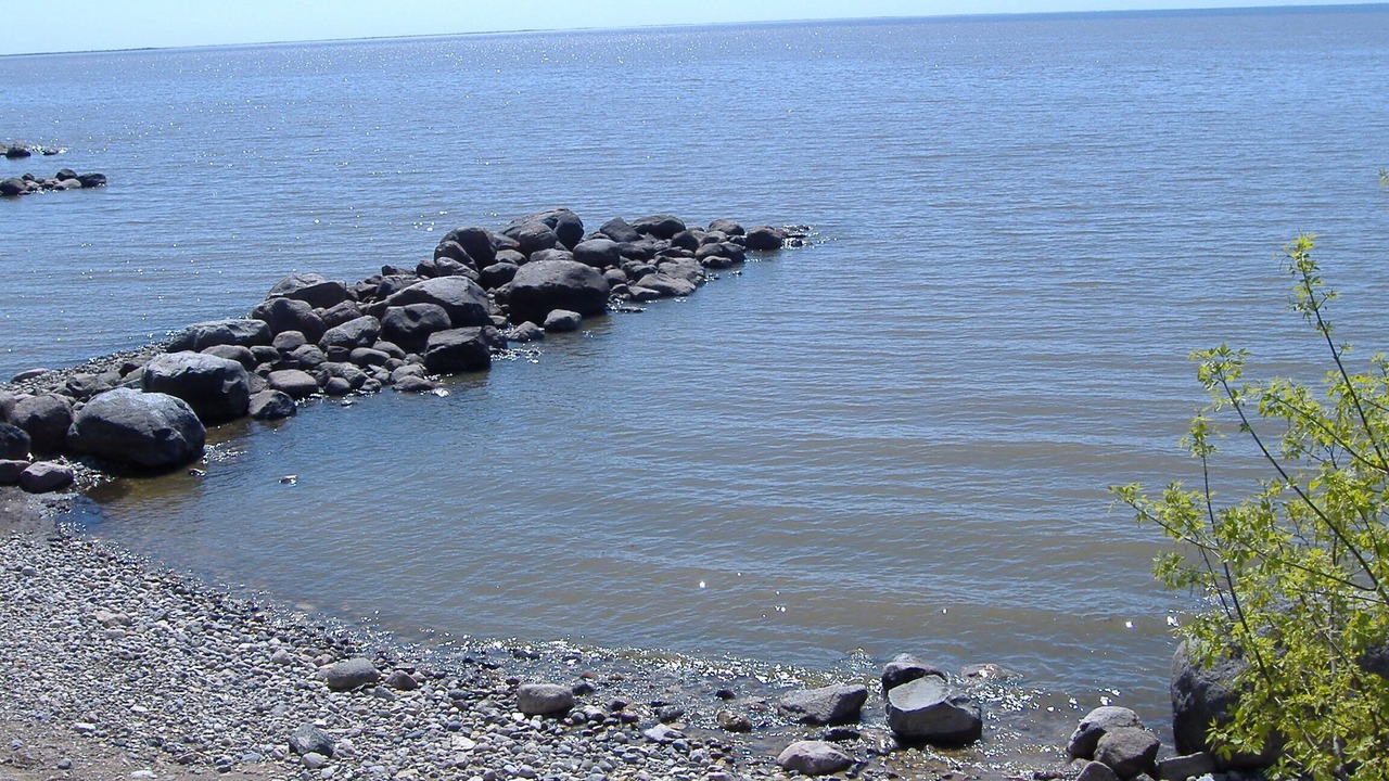 Photo of Others in Beaconia