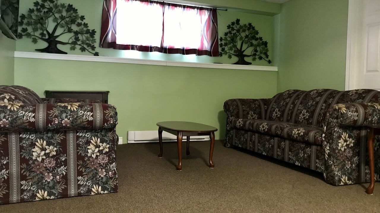 Photo of Livingroom in Bonne Bay Pond