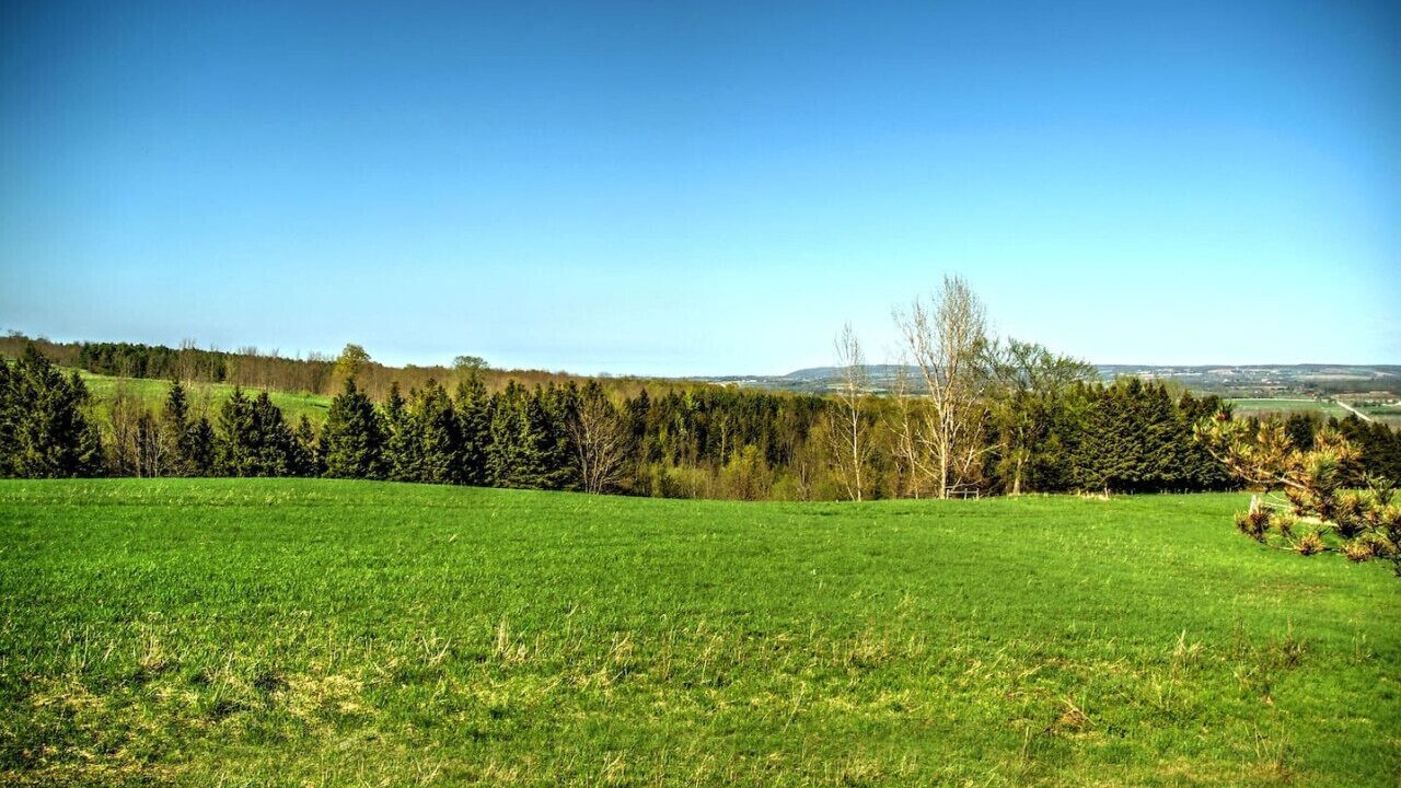 Photo of Others in Grey Highlands