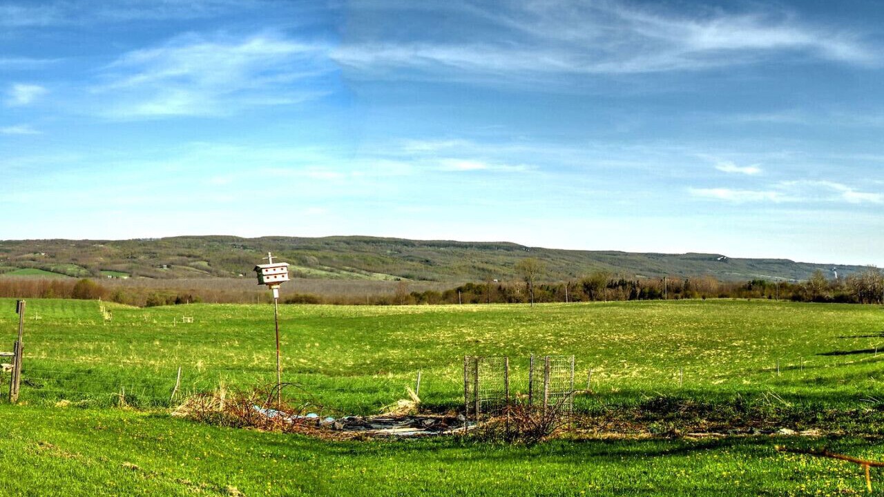 Photo of Others in Grey Highlands