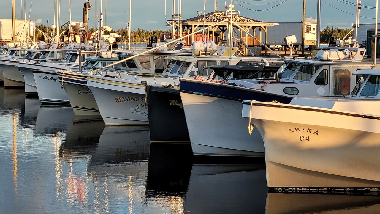 Photo of Others in Richibucto