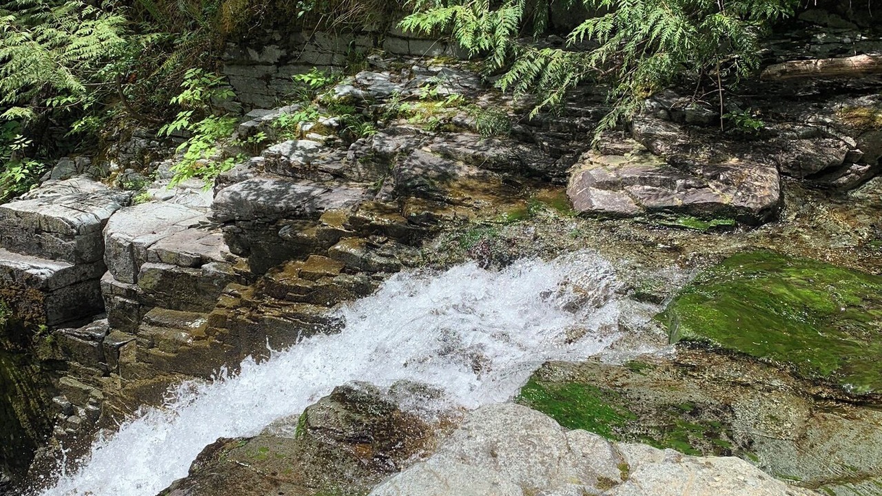 Photo of Outdoor in Sproat Lake
