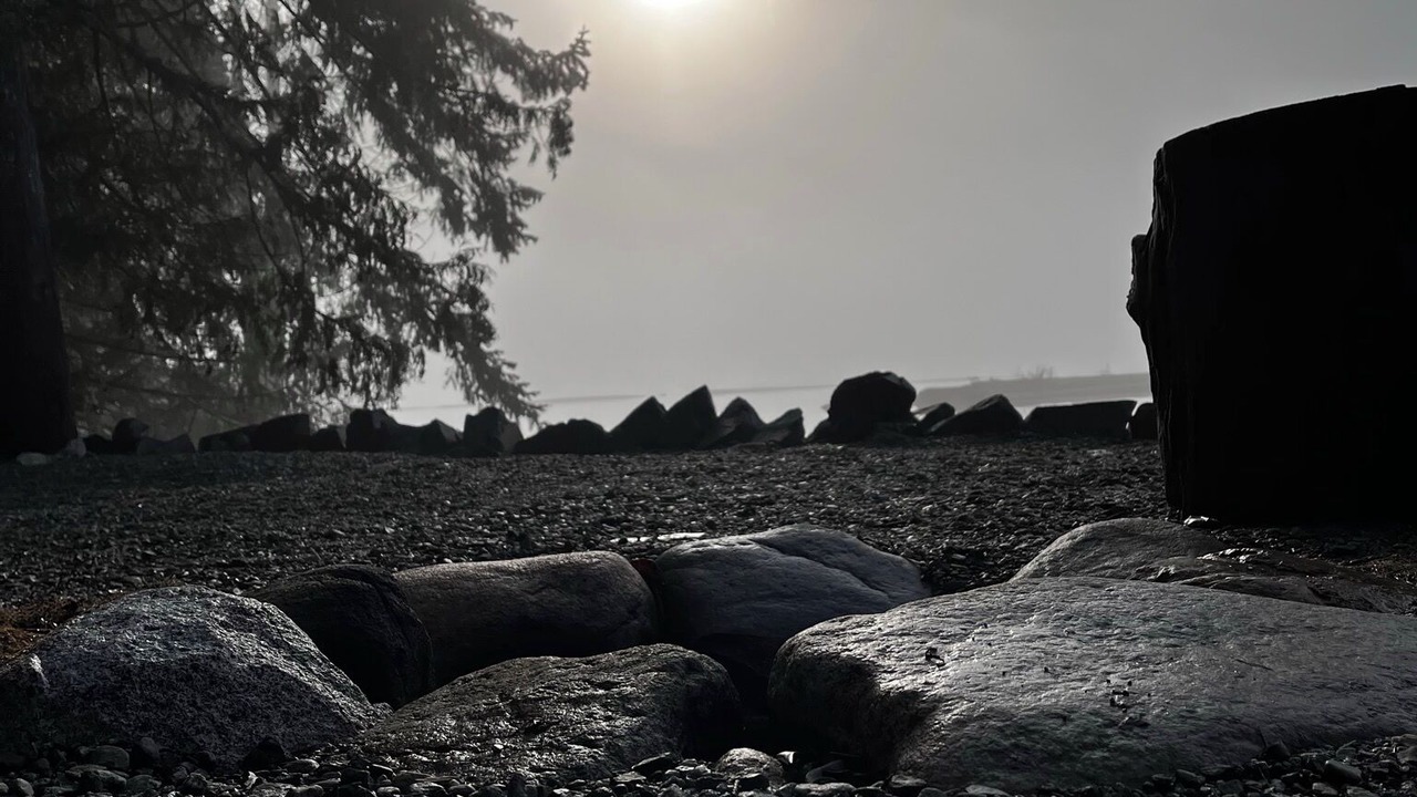 Photo of Outdoor in Sproat Lake