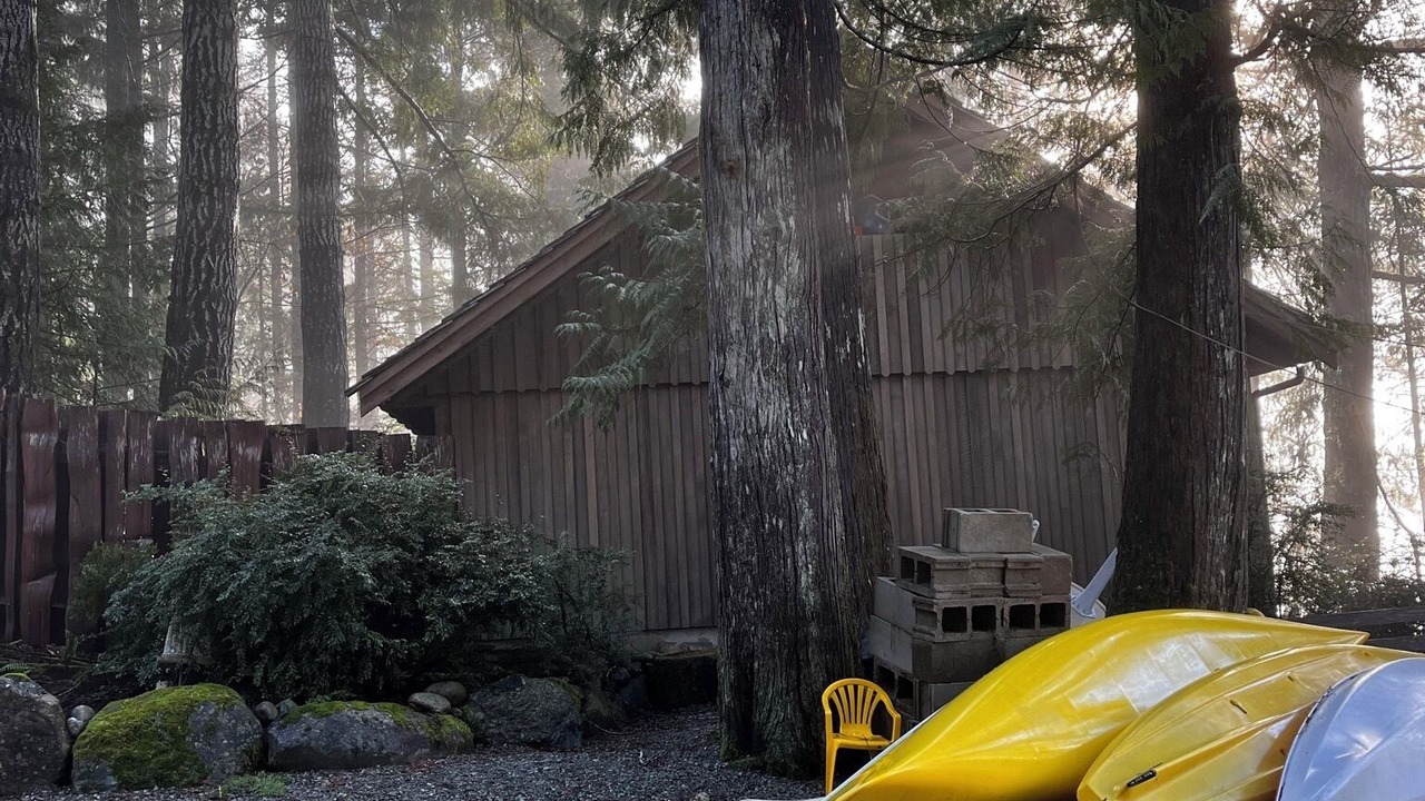 Photo of Outdoor in Sproat Lake