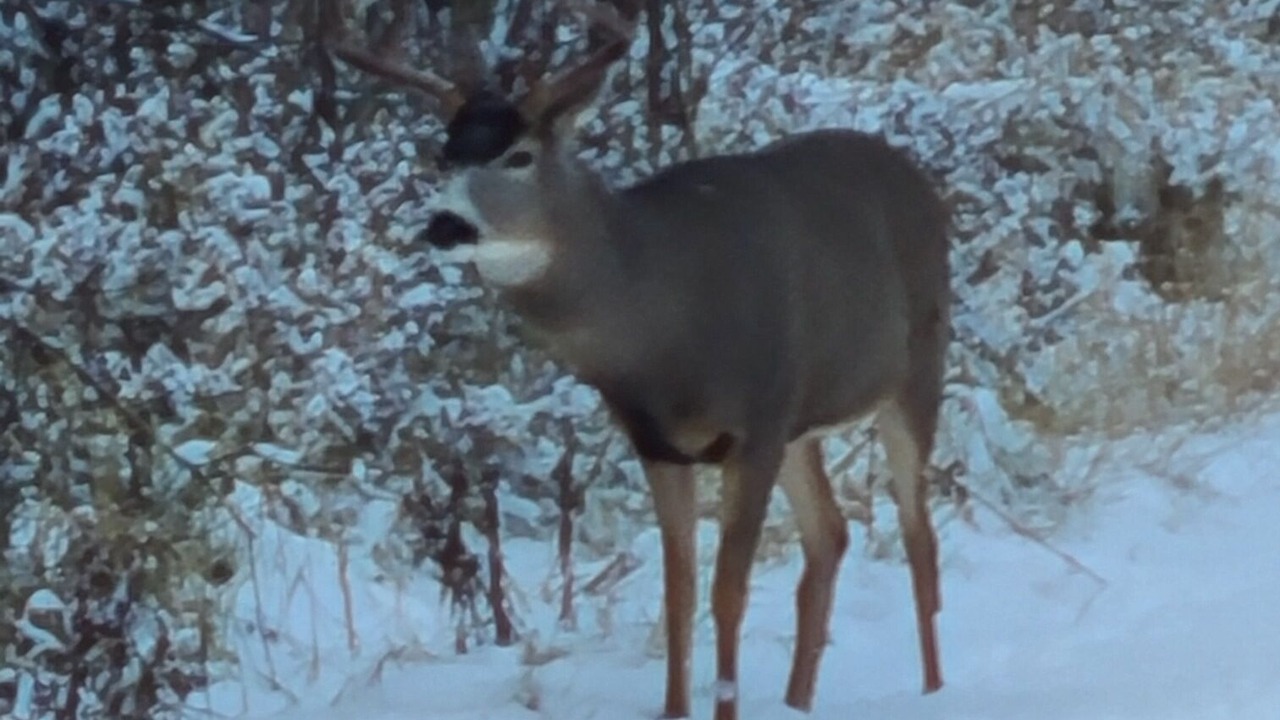 Photo of Others in Deka Lake