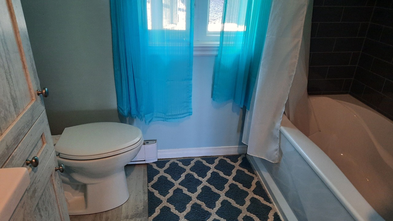 Photo of Bathroom in Lion's Head