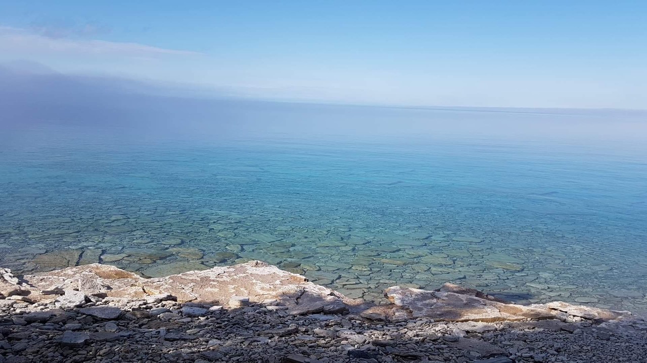 Photo of Others in Lion's Head
