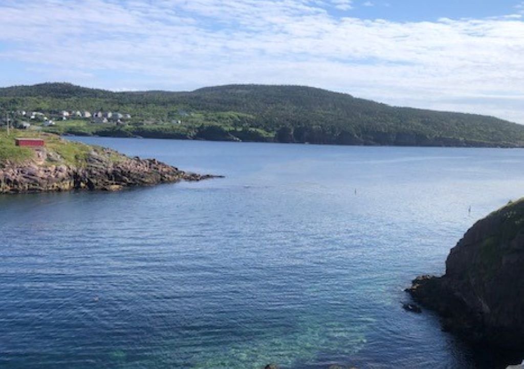 Photo of Others in Petty Harbour