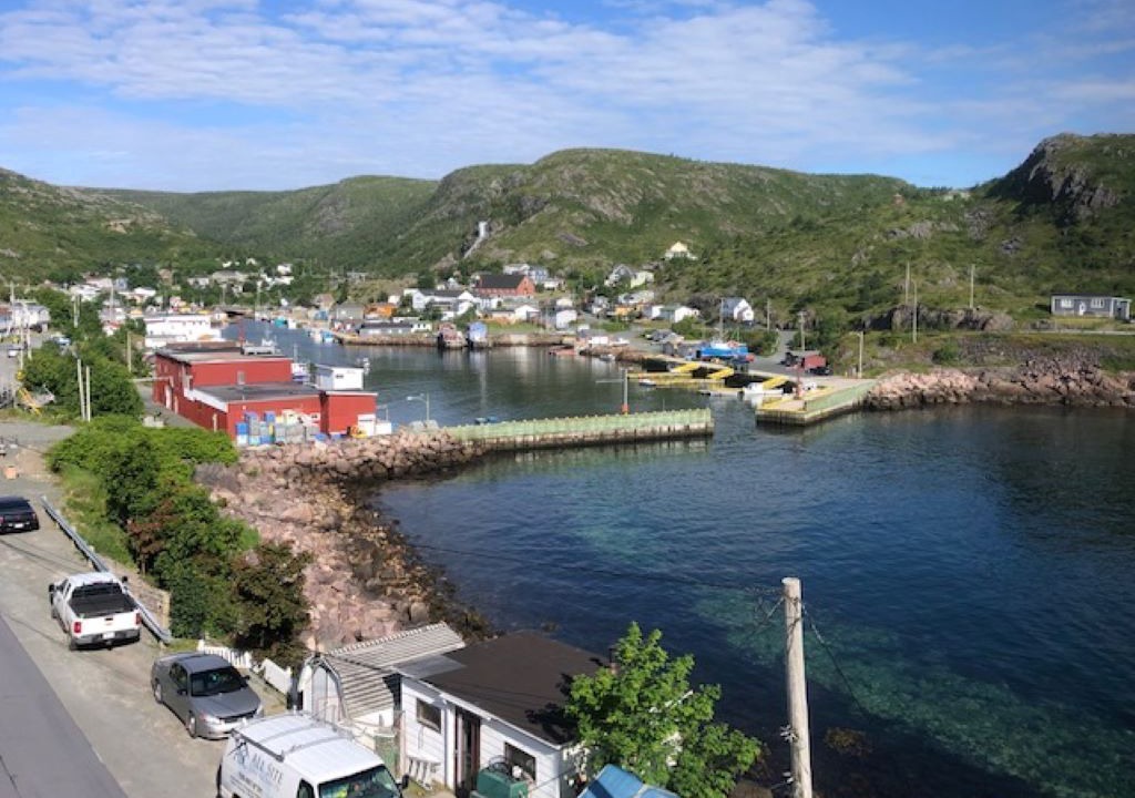 Photo of Others in Petty Harbour