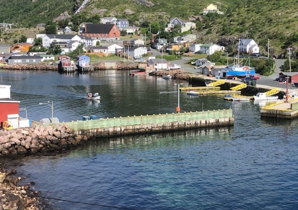 Photo of Others in Petty Harbour