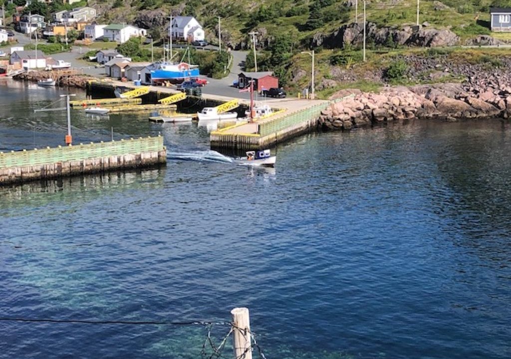 Photo of Others in Petty Harbour