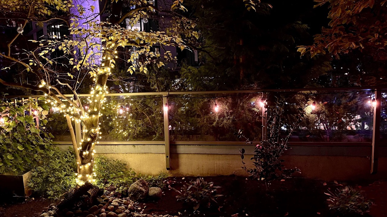 Photo of Outdoor in Downtown Victoria