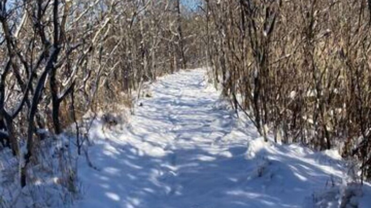 Photo of Outdoor in Stanstead-Est